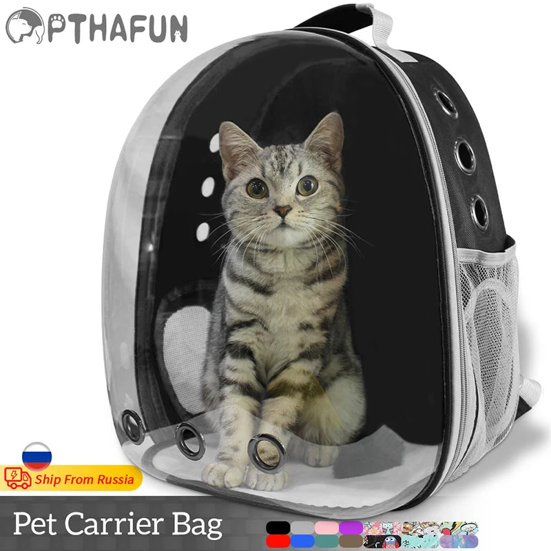 Cat backpack transparent online